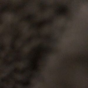 Meet your Posher, Jack